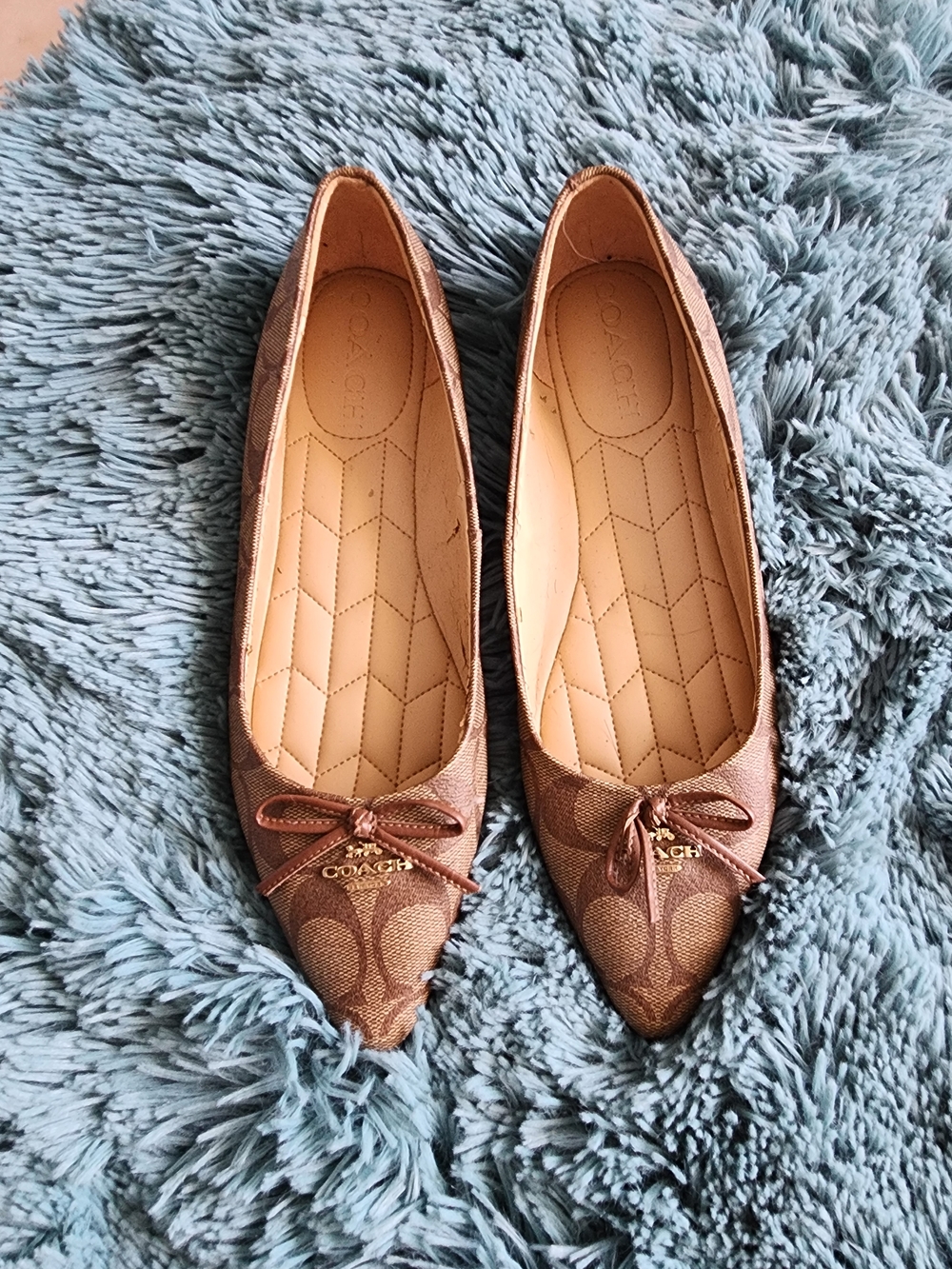 Coach Brown Signature Pointed-Toe Ballet Flats